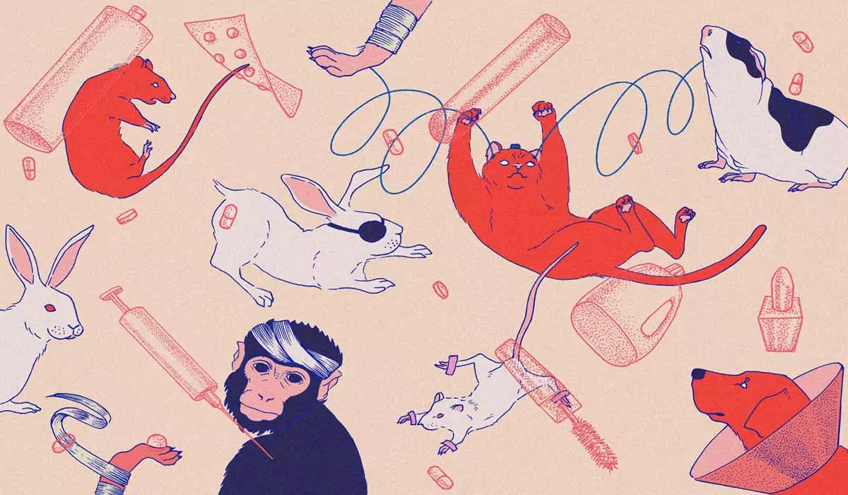 Ilustración que incluye varios animales utilizados en experimentación y material quirúrgico.